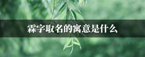 霖取名意思|霖字取名的寓意